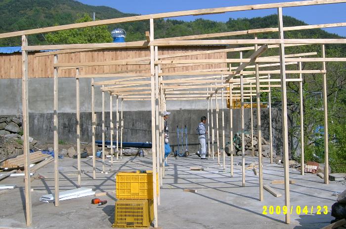 persimmon house003.JPG