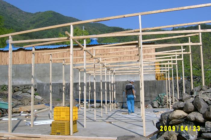 persimmon house004.JPG