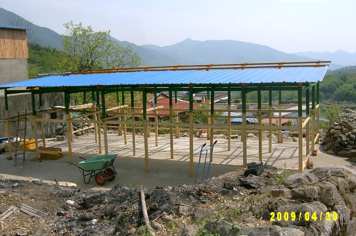 persimmon house006.JPG