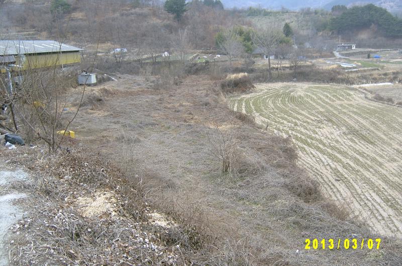 land for sale 001.JPG