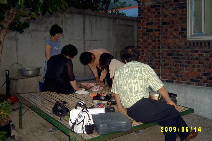 picking apricots004.JPG