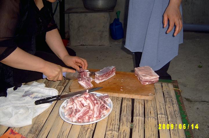 picking apricots006.JPG