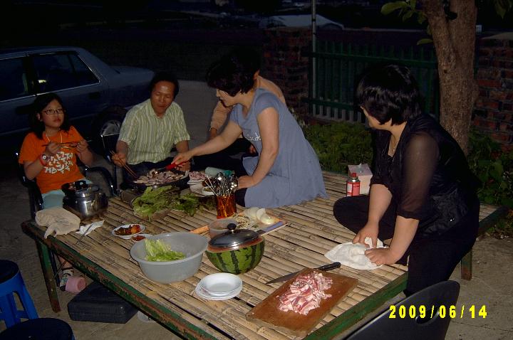 picking apricots007.JPG