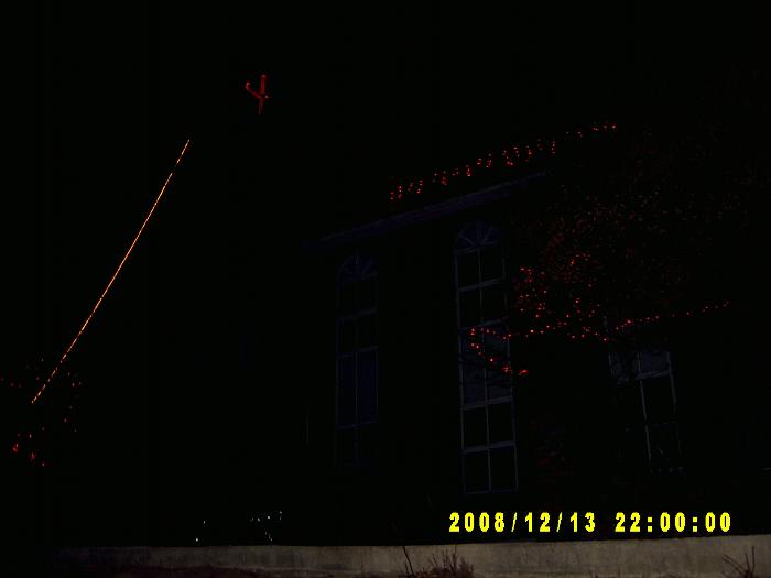 Christmas trees003.JPG