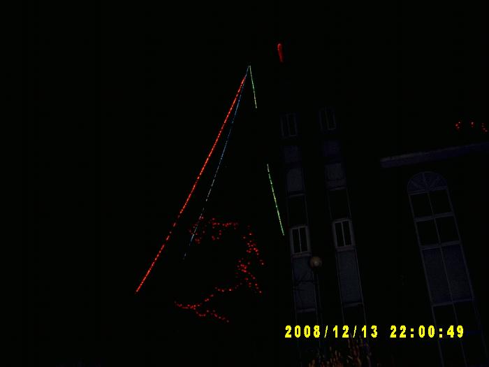 Christmas trees004.JPG