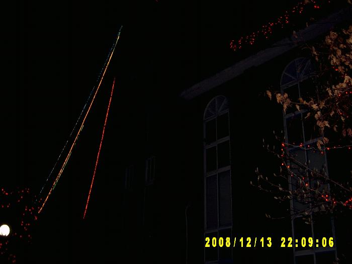 Christmas trees006.JPG