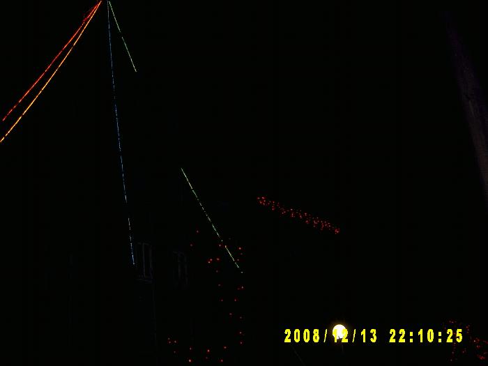 Christmas trees007.JPG