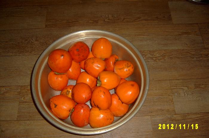 Persimmon 014.JPG