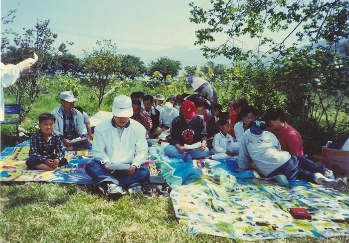 scan0049 Resized.JPG