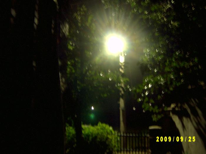 roadlamp 014.JPG