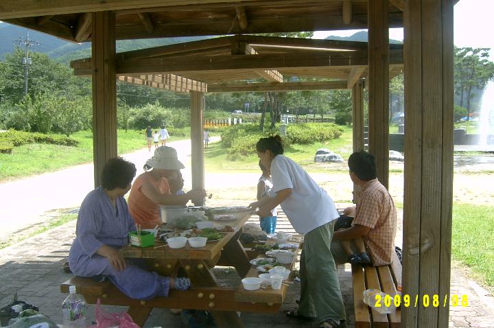picnic 008.JPG