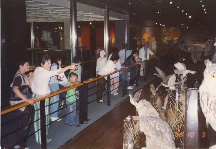 scan001014 Resized.JPG