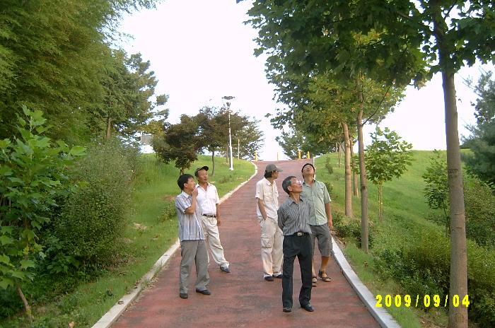 Hadongpark 005.JPG